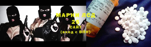 индика Волосово