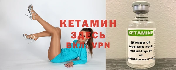 индика Волосово