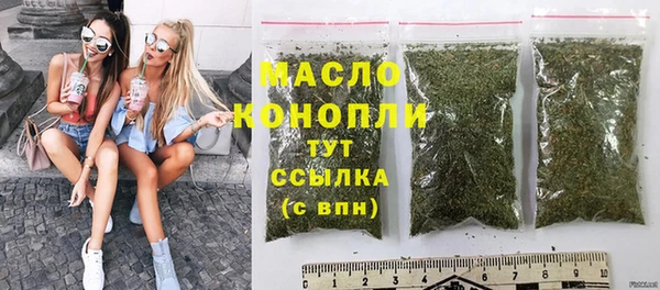 индика Волосово