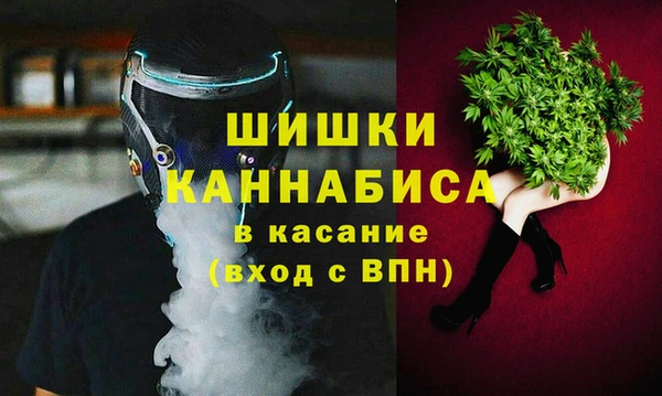 индика Волосово