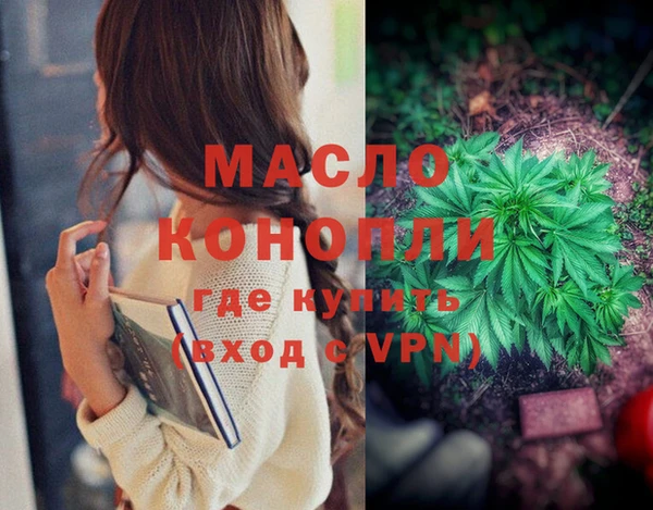 индика Волосово