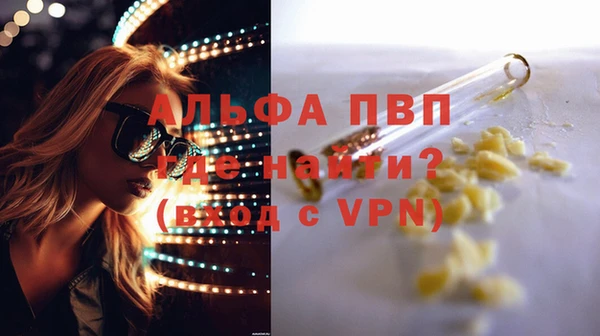 индика Волосово