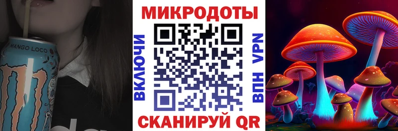 Галлюциногенные грибы Psilocybine cubensis  Вытегра 